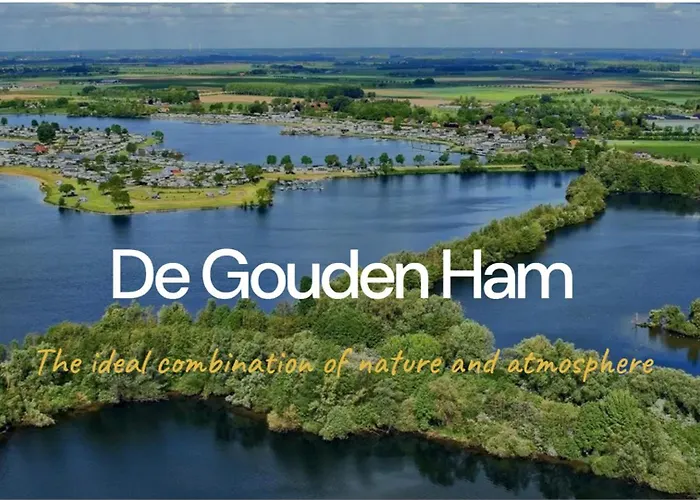 Stylish Near Gouden Ham Wifi Ac Oss