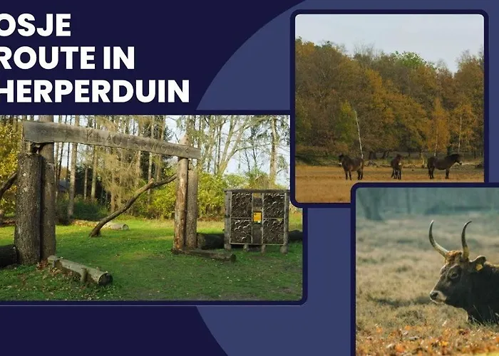 Stylish Near Gouden Ham Wifi Ac