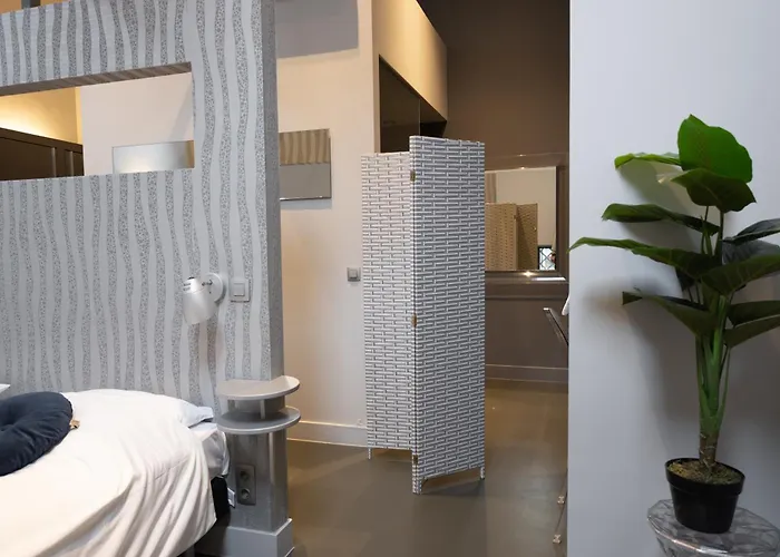 Stylish Near Gouden Ham Wifi Ac Apartment Oss