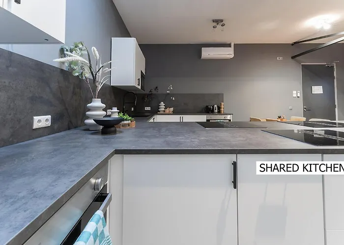 Stylish Near Gouden Ham Wifi Ac Appartement *